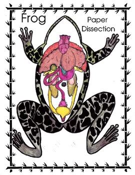 Read Online Paper Frog Dissection 