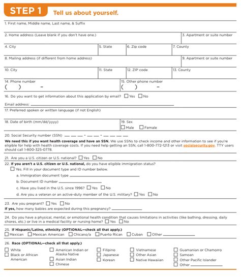 Full Download Paper Obamacare Application 