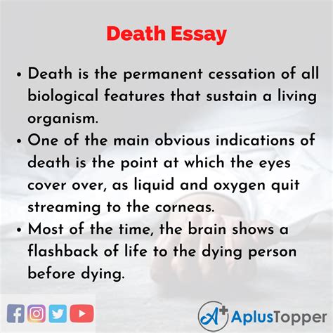 Read Online Paper On Death And Dying 