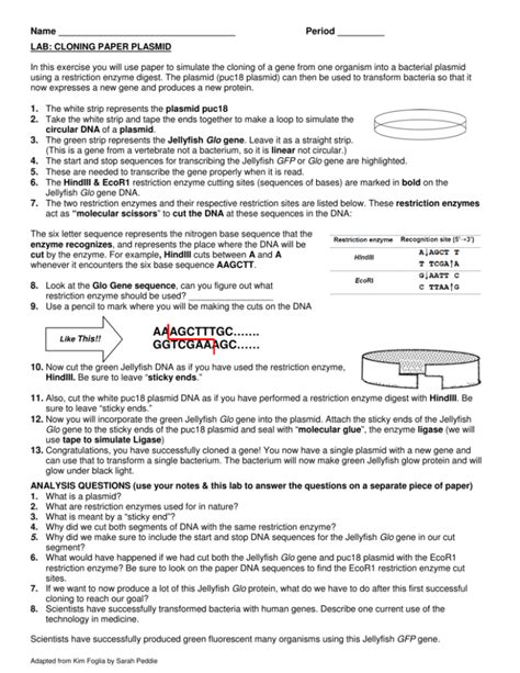Download Paper Plasmid And Transformation Activity Answers File Type Pdf 