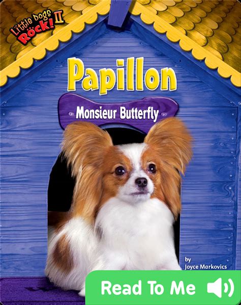 Full Download Papillon Monsieur Butterfly 