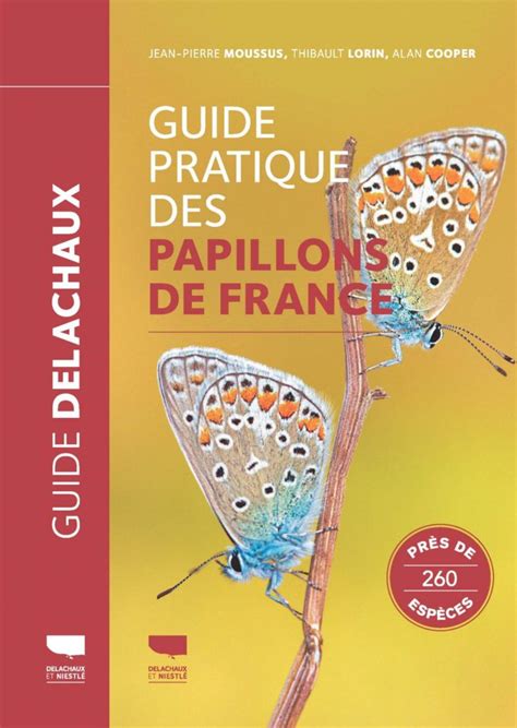 papillons de france guide de da c termination des
