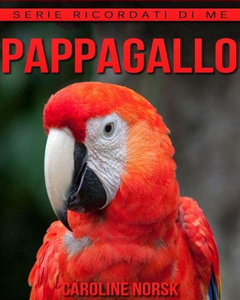 Read Pappagallo Ibro Sui Pappagallo Per Bambini Con Foto Stupende Storie Divertenti 