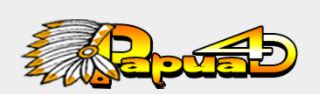 PAPUA4D | Link Slot Gacor Viral Amanah