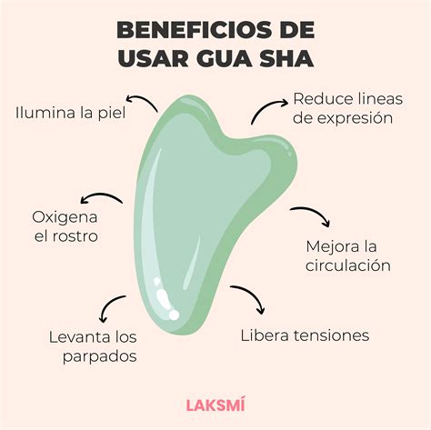Para Qué Sirve Una Guía De Autoestudio