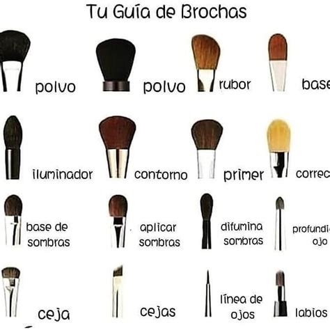 Para Que Sirve Cada Brocha De Maquillaje
