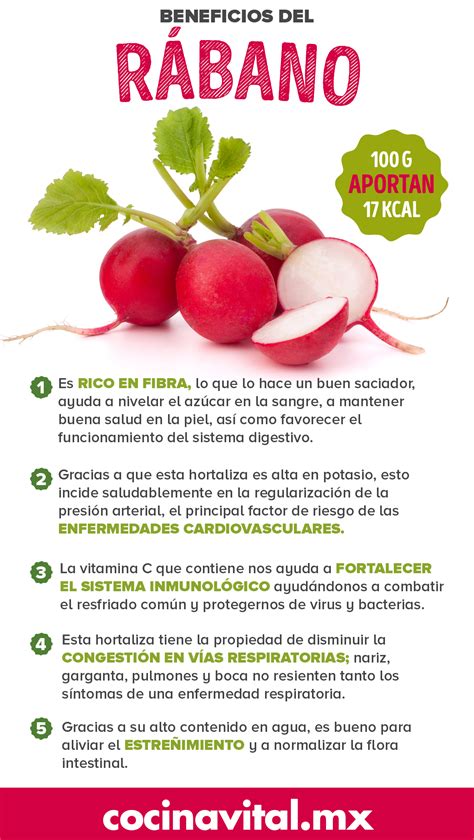 Para Que Sirve El Rabano Yodado