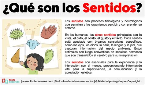Para Que Sirven Los Sentidos