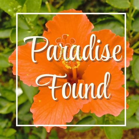 paradise found