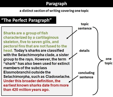 paragraph | Tips For Writing a Paragraph IOE