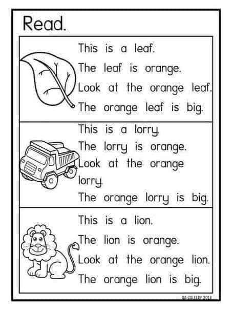 paragraph for kindergarten