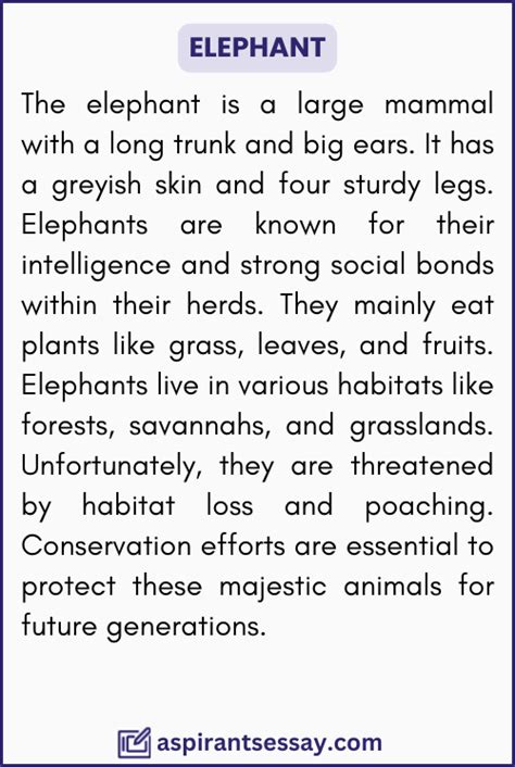 Paragraph On Elephant