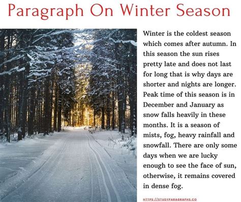 Paragraph On Winter Season In English Long And Paragraph On Summer Holidays - Paragraph On Summer Holidays