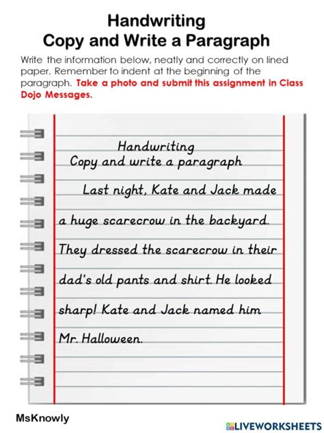 Paragraph Writing Practice