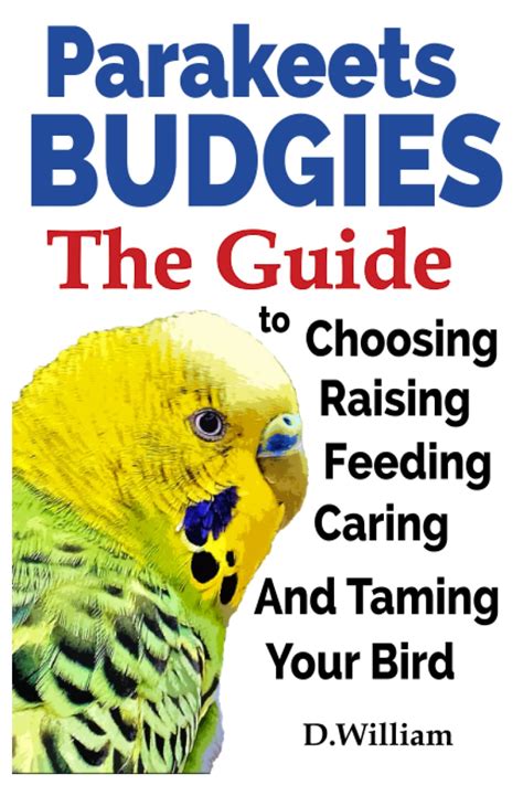 Parakeets And Budgies Raising Feeding And Hand Training Your Keet