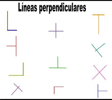 Paralelas Y Perpendiculares