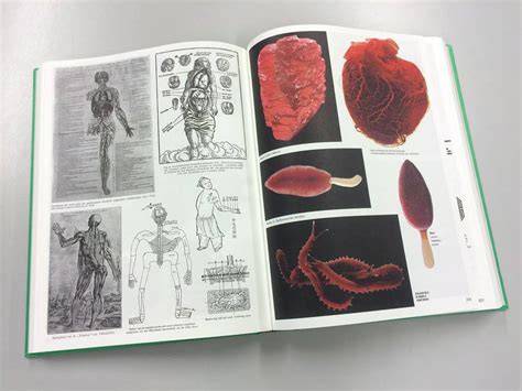 parallel encyclopedia 2