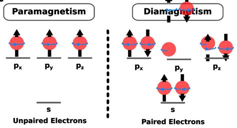 Paramagnetic And Diamagnetic