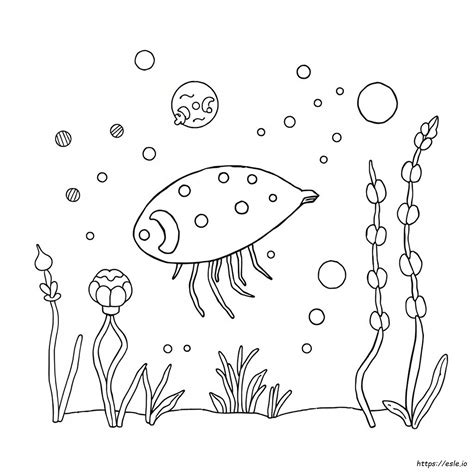 Paramecium Coloring Answer Key