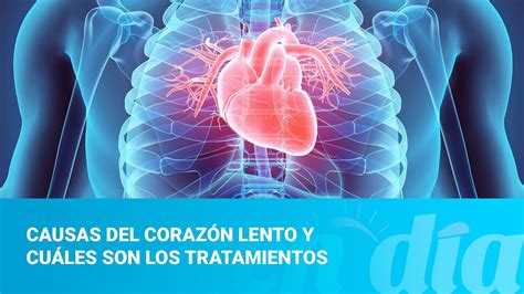 parametro fucionamiento corazon lento