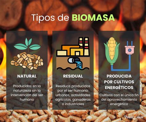 parametros ecologicos ejemplos biomasa