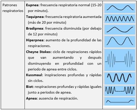 parametros funcion respiratoria