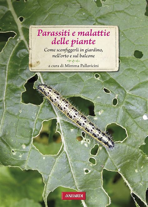 Parassiti E Malattie Delle Piante