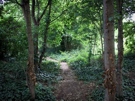 Parc Départemental Jean Moulin Les Guilands