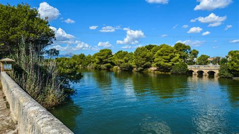 Parc Natural De S Albufera De Mallorca
