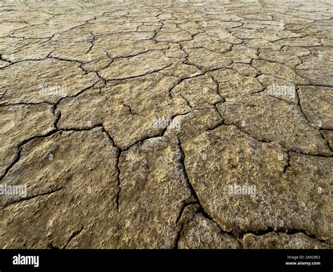 Read Online Parched 