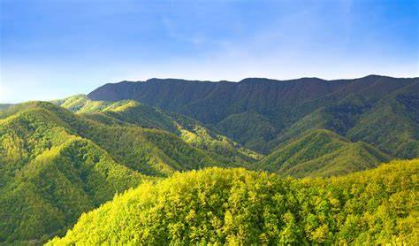 parco nazionale delle foreste casentinesi carta d