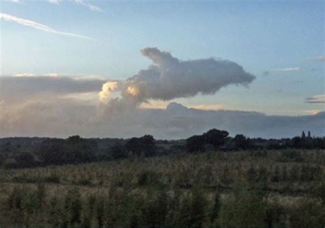 pareidolia