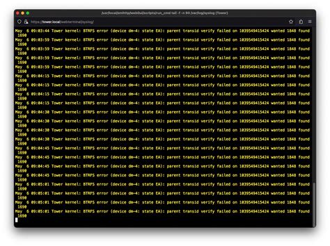 parent transid verify failed