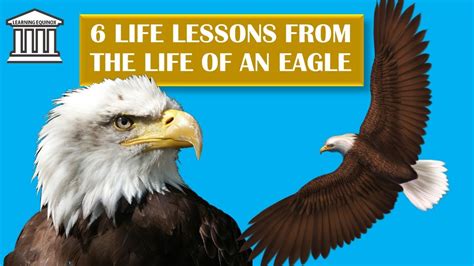 Read Parent S Guide From Life To Eagle 