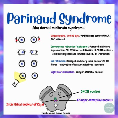 Parinaud Oculoglandular Syndrome