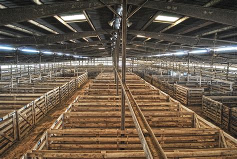 paris stockyards kentucky