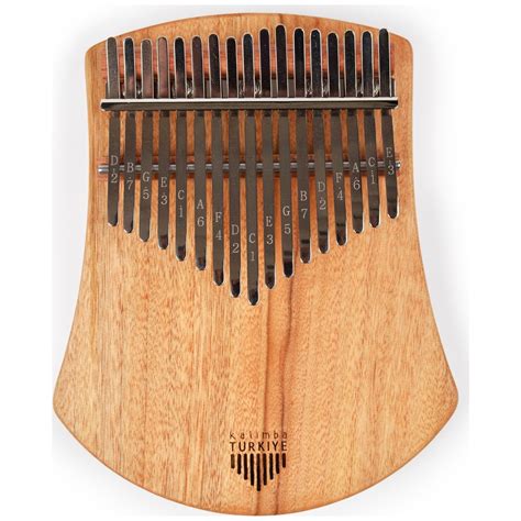 veodersti.rgarabwor.edu.pl. 