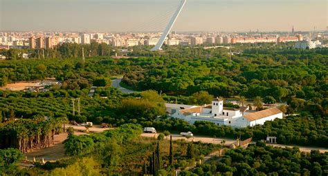 Parque Del Alamillo