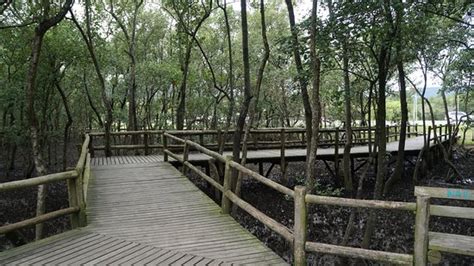 Parque Do Manguezal Do Itacorubi