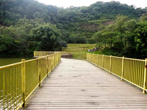 Parque Do Pedroso