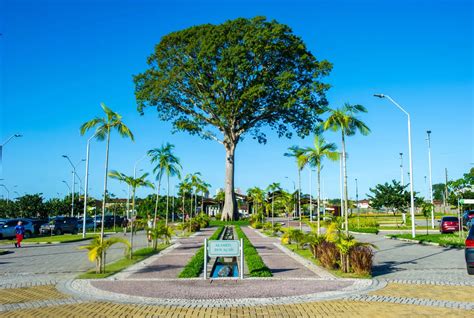 Parque Do Utinga