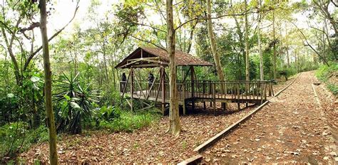 Parque El Haya