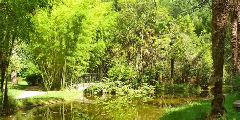 Parque Micológico Ultzama