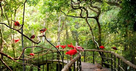 Parques De Las Aves