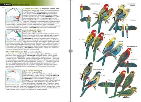 Parrots Of The World Book