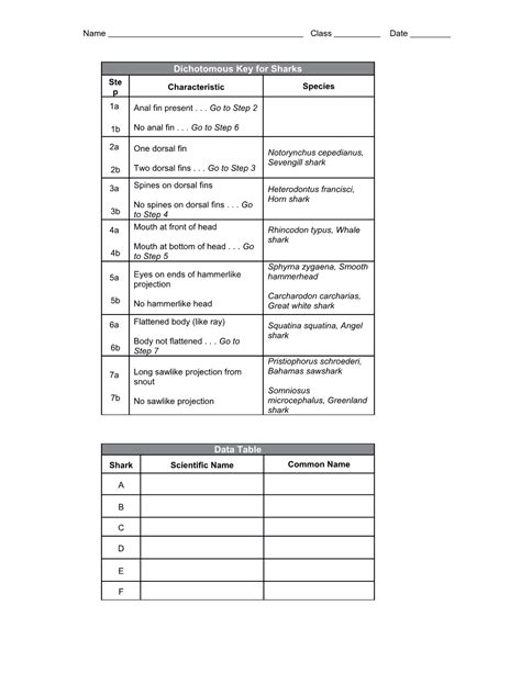 part b constructing a dichotomous key answers