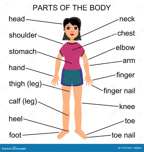 part of body
