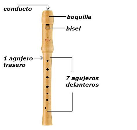 Partes De La Flauta