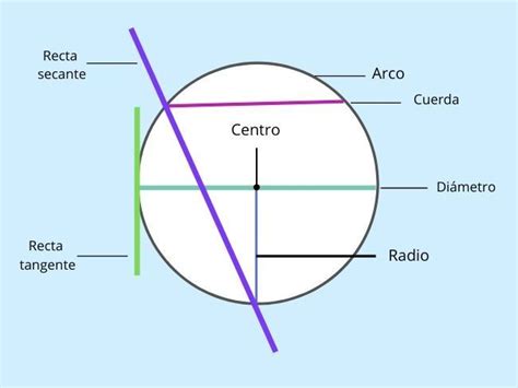 Partes De Un Circulo