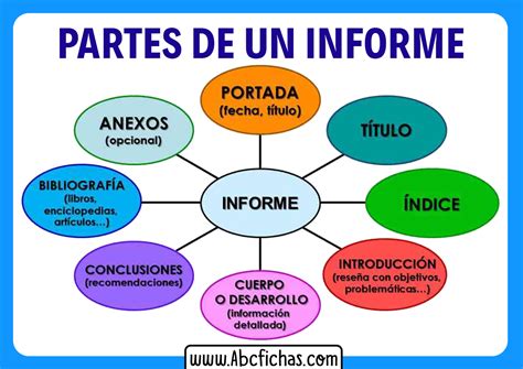 Partes De Un Informe